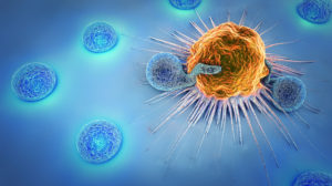 免疫チェックポイント　T細胞