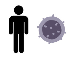 免疫細胞のひとつT細胞とヒトの身体