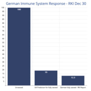 免疫システムの報告書